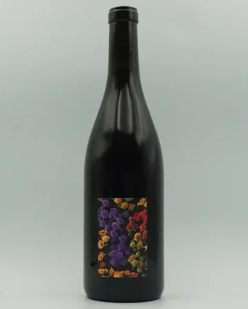Allante & Boulanger, 'Gamay' 2024