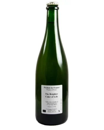 Anders Frederik Steen - The Brighter Cider of Life 2021