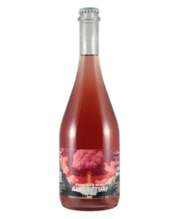 Baia's Wine - Gvantsa's Wine Aladasturi Rosé Pet Nat