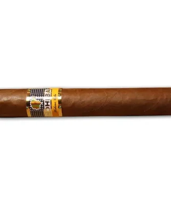 Cohiba Siglo VI Cigar