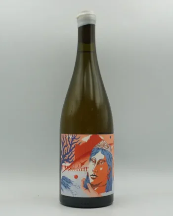 Frederick Stevenson, Grillo 2025