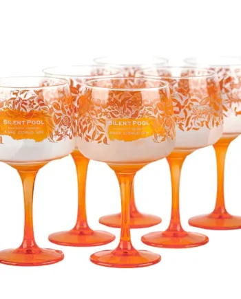 Rare Citrus Copa Gin Glass Set of 6