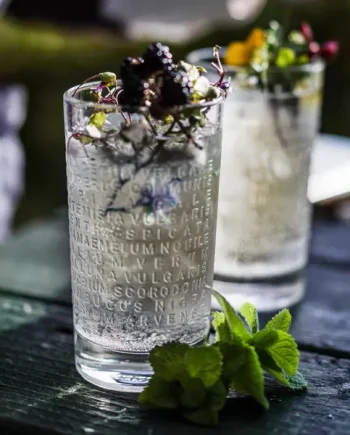 The Botanist Highball Glass