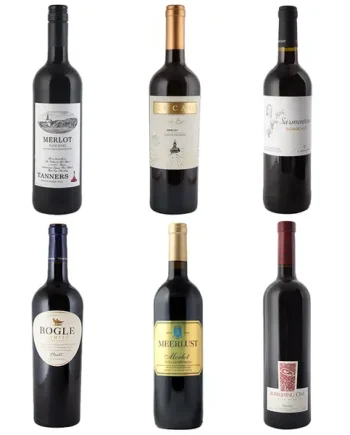 Taste the Grape Merlot - Half Dozen