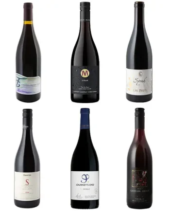 Taste the Grape Syrah - Half Dozen