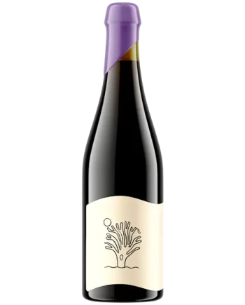 Everywhere Will Time Begin Again Imperial Stout 500ml (14.5%)