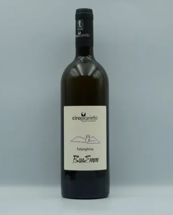 Ciro Picariello, Campania Falanghina 2025