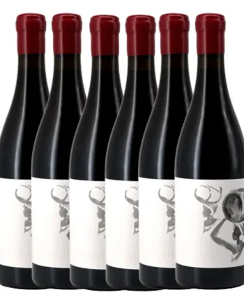 Tembela Wines Syrah 2025 Half Dozen Case