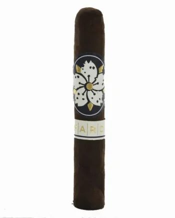 Room 101 Farce Maduro Corona Papi Chulo
