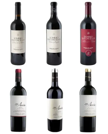 Ribera del Duero - Half Dozen