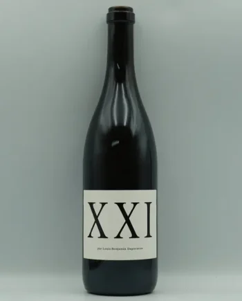 Didier Dagueneau, XXI 2021