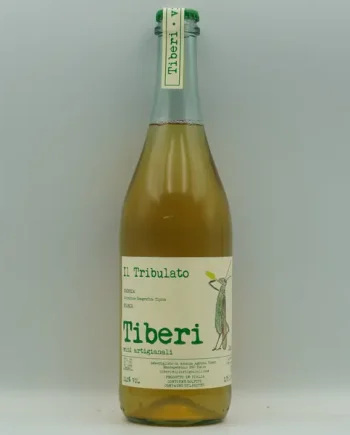 Tiberi, Il Tribulato 2024