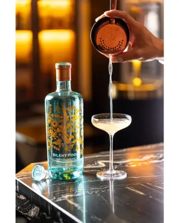 The Silent Pool Gin Cocktails Class