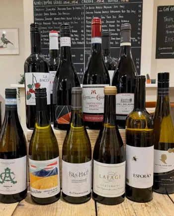 Wines of The Month November 2025