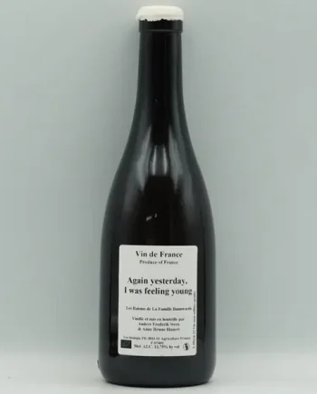 Anders Frederik Steen & Anne Bruun Blauert, Again Yesterday I was feeling young 2022 (50cl)