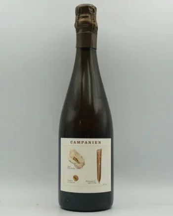 Legrand-Latour, Campanien 2020