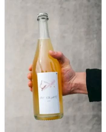 Aeblefald Cider - Out Tonight