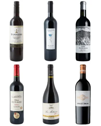Taste the Grape Malbec - Half Dozen