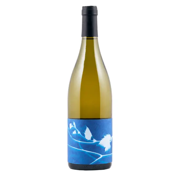 Thomas Puéchavy - Le Rayon' Chenin Blanc 2022