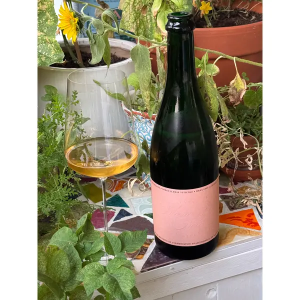 Vin de Lagamba - Blanc de Noir 2021 Sekt