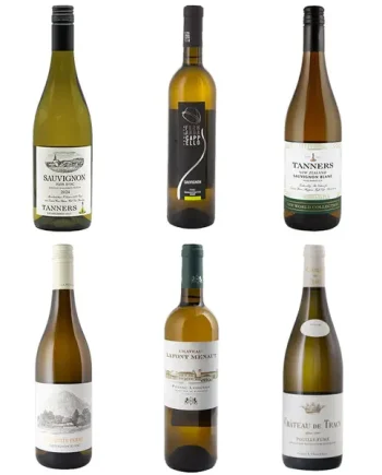 Taste the Grape Sauvignon Blanc - Half Dozen
