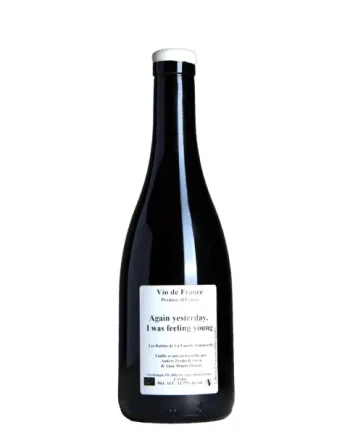 Anders Frederik Steen - Again yesterday, I was feeling young 2022 (50cl)