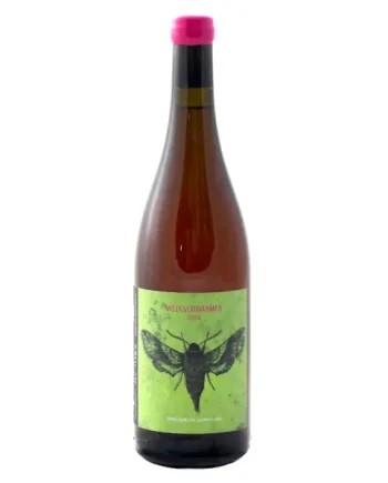 2Naturkinder - Weinschwärmer 2023