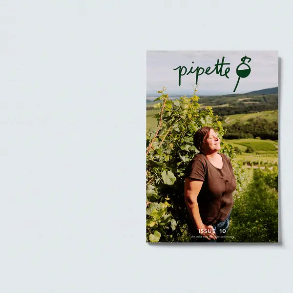 Pipette Issue 8