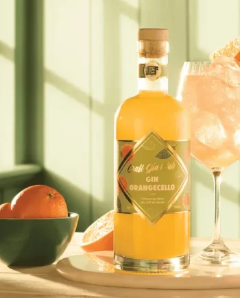 Gin Orangecello | ABV 25% 70cl