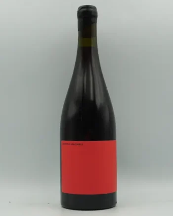 Aristotelis Ke Anthoula, Blood Orange 2025