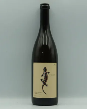 Andreas Tscheppe, Salamander Chardonnay 2024