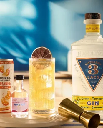 Citrus Collins Cocktail Set